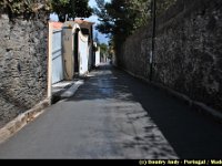 Portugal - Madere - Funchal - 029